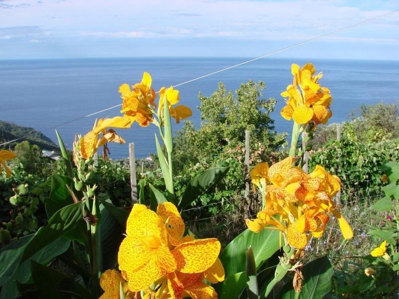 Case Vacanza Reggimonti Cinque Terre Бонасола Екстериор снимка