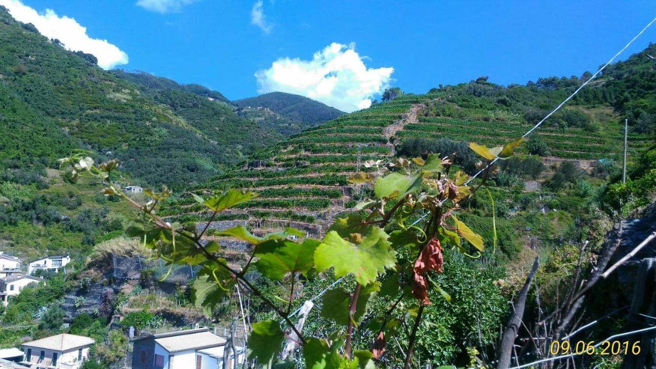 Case Vacanza Reggimonti Cinque Terre Бонасола Екстериор снимка