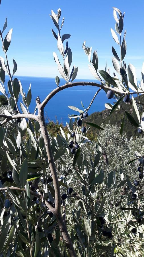 Case Vacanza Reggimonti Cinque Terre Бонасола Екстериор снимка